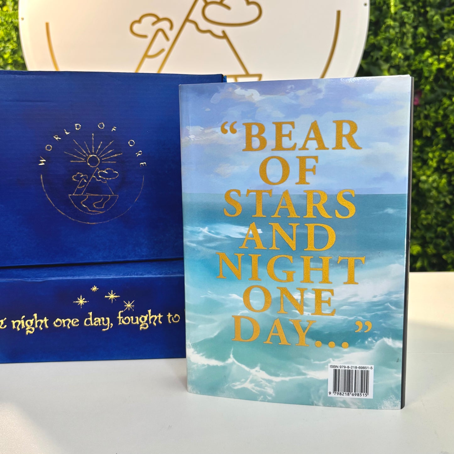 Book titled 'Bear of Stars and Night One Day' with a blue cover and gold text, placed next to a blue box with gold text.