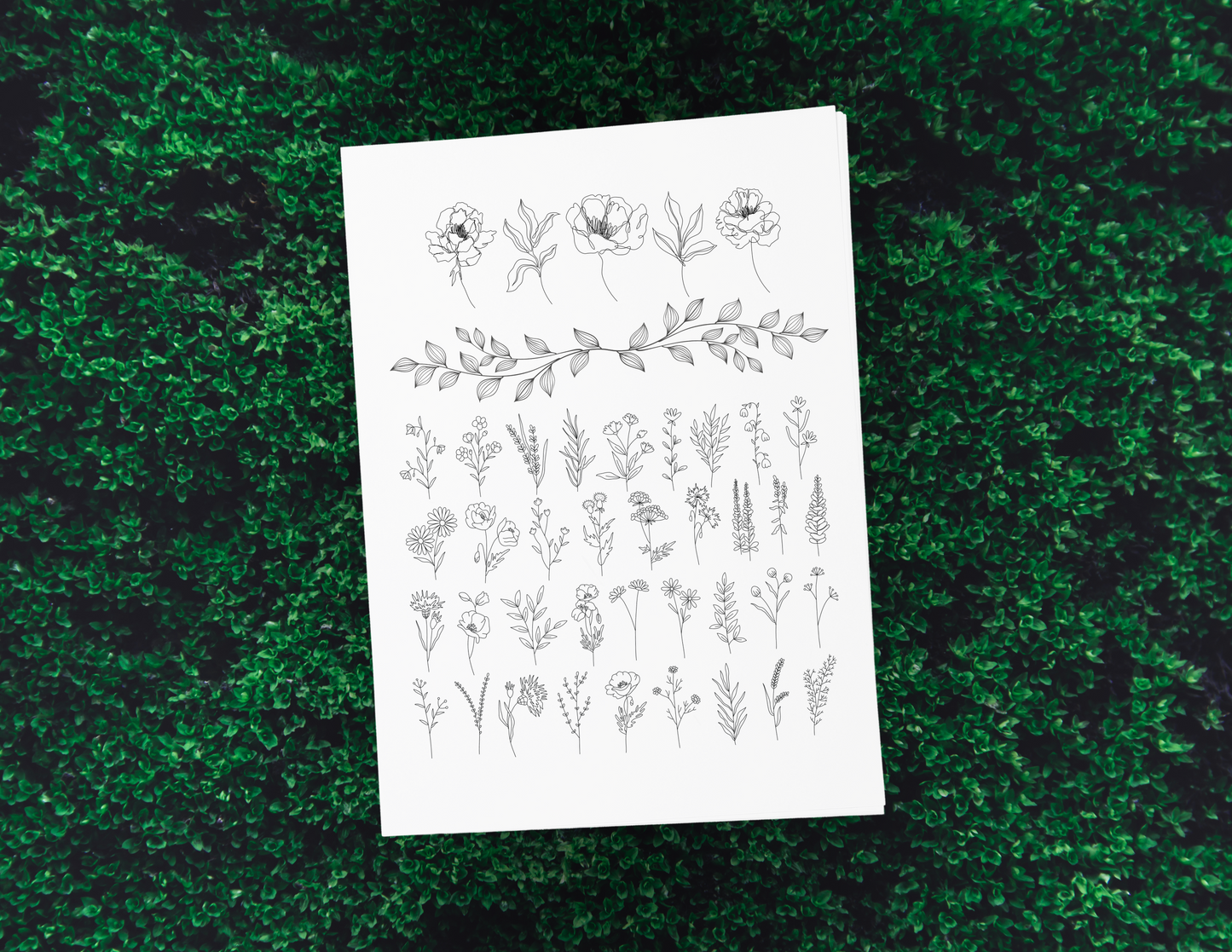 Foil Designs for Tracing - Digital Download Only