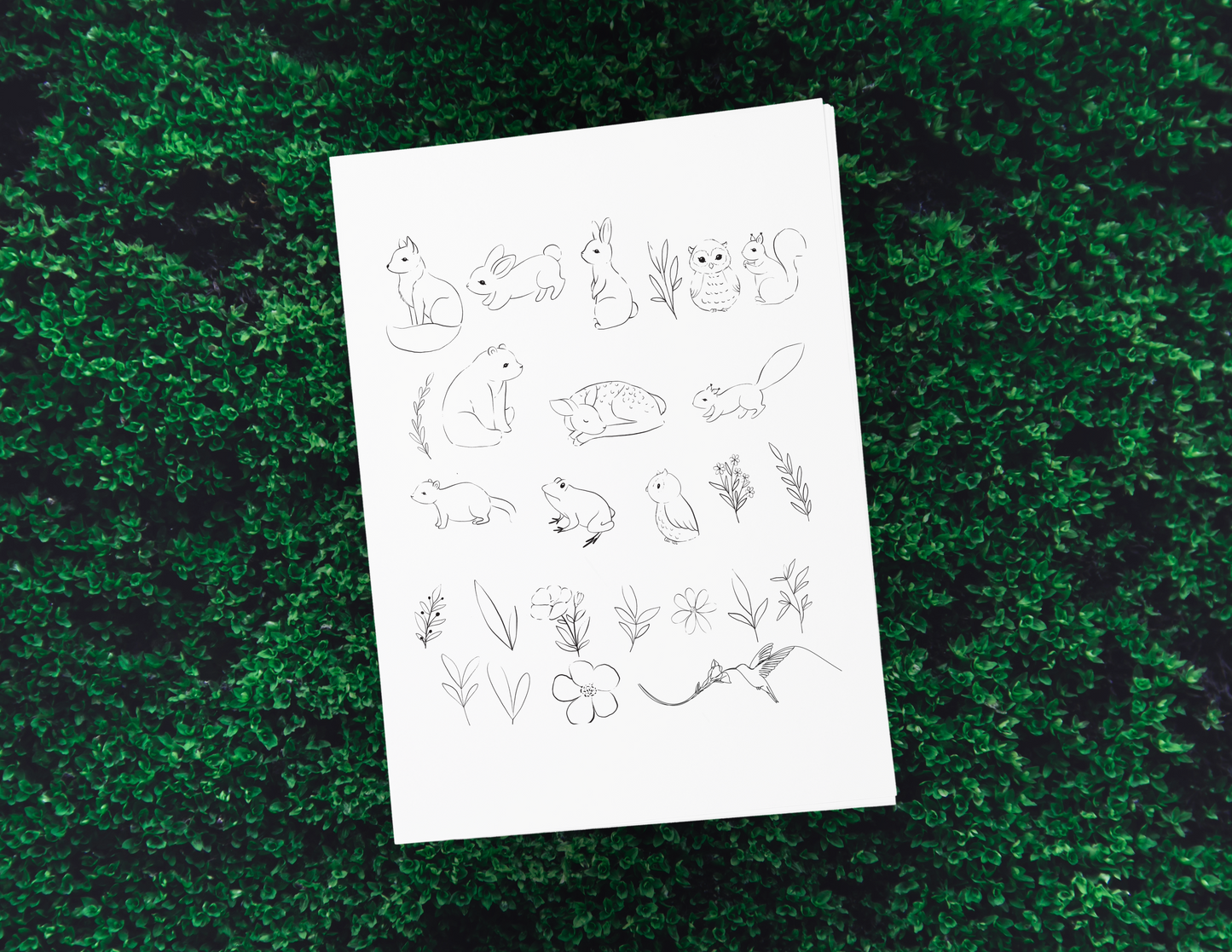Foil Designs for Tracing - Digital Download Only